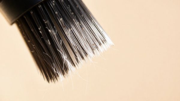 Top 5 brosses indispensables pour le toilettage canin